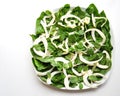 Vegan food : spinach, fennel , mint salad Royalty Free Stock Photo