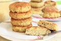 Vegan sea burger patties closeup Royalty Free Stock Photo