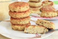 Vegan sea burger patties closeup Royalty Free Stock Photo