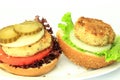 Vegan sea burger on white Royalty Free Stock Photo