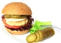 Vegan sea burger on white Royalty Free Stock Photo