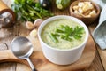 Vegan soup puree of green vegetables. Bowl of green bean and zucchini cream soup on a rustic table. Healthy diet low carb