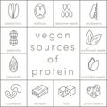 Vegan sources of protein