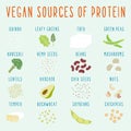 Vegan sources of protein.