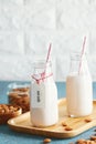 Vegan substitute dairy milk