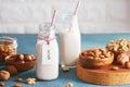 Vegan substitute dairy milk with nuts