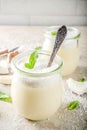 Vegan coconut panna cotta dessert in glass jar Royalty Free Stock Photo