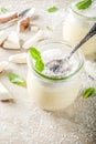 Vegan coconut panna cotta dessert in glass jar Royalty Free Stock Photo