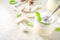 Vegan coconut panna cotta dessert in glass jar Royalty Free Stock Photo