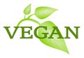 Vegan symbol with green leafs isolated