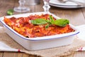 Vegan tofu lasagna with tomato sauce Royalty Free Stock Photo