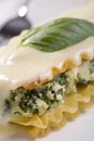 Vegan Tofu and Spinach Lasagna with White Sauce Royalty Free Stock Photo