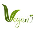 Vegan vector icon. Organic, bio, eco symbol Royalty Free Stock Photo