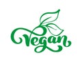 Vegan vector illustration logo, food design. Handwritten lettering for restaurant, cafe raw menu. Elements for labels Royalty Free Stock Photo