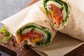 Vegan vegetable wrap Royalty Free Stock Photo