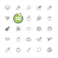 Vegan and Vegetarian food,Vegetables and fruits icons line set Royalty Free Stock Photo