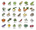 Vegan, vegetarian set of icons with vegetables. Natural colors. Vegetables, mushrooms, grass and roots. Proper nutrition. Vegetabl