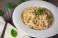 Vegan version of traditional italian pasta fettuccine alfredo with creamy white sauce garnished with basil Royalty Free Stock Photo