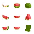 Vegan watermelon icon set, cartoon style