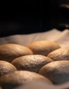 Vegan whole wheat bread dough formed into rolls and rising in warm oven before baking