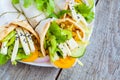 Vegan wrap or fajitas with tofu Royalty Free Stock Photo