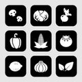 Vegatable icons set great for any use. Vector EPS10.