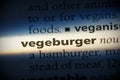 Vegeburger Royalty Free Stock Photo