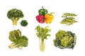 Vegetabl Backgronds illustration watercolor Royalty Free Stock Photo