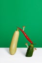Vegetable art composition - abstract construction with copy space Royalty Free Stock Photo