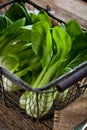 Vegetable assortment, fresh green Chinese cabbage, bok choy, pok choi or pak choi on dark background. Royalty Free Stock Photo