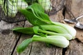 Vegetable assortment, fresh green Chinese cabbage, bok choy, pok choi or pak choi on dark background. Royalty Free Stock Photo