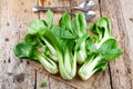 Vegetable assortment, fresh green Chinese cabbage, bok choy, pok choi or pak choi on dark background. Royalty Free Stock Photo