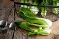 Vegetable assortment, fresh green Chinese cabbage, bok choy, pok choi or pak choi on dark background. Royalty Free Stock Photo