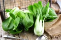 Vegetable assortment, fresh green Chinese cabbage, bok choy, pok choi or pak choi on dark background. Royalty Free Stock Photo