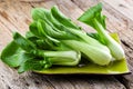 Vegetable assortment, fresh green Chinese cabbage, bok choy, pok choi or pak choi on dark background. Royalty Free Stock Photo