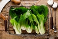 Vegetable assortment, fresh green Chinese cabbage, bok choy, pok choi or pak choi on dark background. Royalty Free Stock Photo