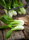 Vegetable assortment, fresh green Chinese cabbage, bok choy, pok choi or pak choi on dark background. Royalty Free Stock Photo