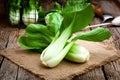 Vegetable assortment, fresh green Chinese cabbage, bok choy, pok choi or pak choi on dark background. Royalty Free Stock Photo