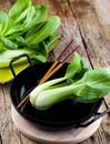 Vegetable assortment, fresh green Chinese cabbage, bok choy, pok choi or pak choi on dark background. Royalty Free Stock Photo