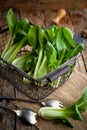 Vegetable assortment, fresh green Chinese cabbage, bok choy, pok choi or pak choi on dark background. Royalty Free Stock Photo