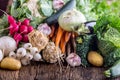 Vegetable. Assortment of fresh vegetable on rustic old oak table. Vegetable from market place