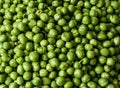 A vegetable background of green peas Royalty Free Stock Photo