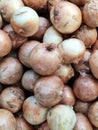 top view of a layer of yellow organic unbruised onion at uptown farm in summer, advertising backgrounds