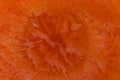 Vegetable background texture. Close-up of a fresh sliced carrot. Macro. Helath concept