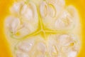 Vegetable background texture. Close-up of a fresh sliced ripe round yellow organic zucchini or courgette just harvested in garden Royalty Free Stock Photo