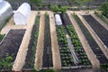 Vegetable beds and greenhouses in the vegetable garden. Long, even ridges are parallel to each other. The location of the ridges