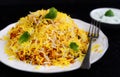 Vegetable Biryani