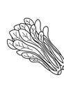 Vegetable black and white lineart illustration