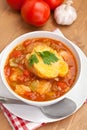 Vegetable and bread soup Royalty Free Stock Photo