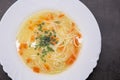 Vegetable broth with noodles. Homemade soup on a white plate Royalty Free Stock Photo